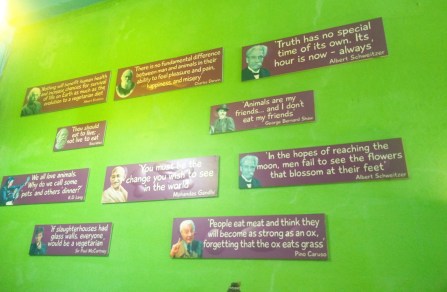 Taste From Heaven, Chiang Mai