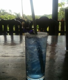 Butterly blue pea flower tea.jpg