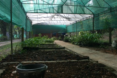 Nursery