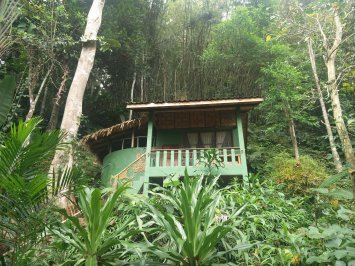 Private Bungalow, EcoLogic Resort.jpg
