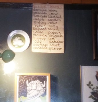 Learn-Irish,-Fennellys